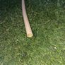 Qualpex Plus Easylay Pipe 1/2" Image 2