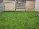garden services Image 6