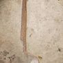 hay knife blade 17.5" long Image 3