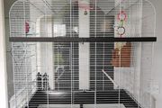 Large bird cage