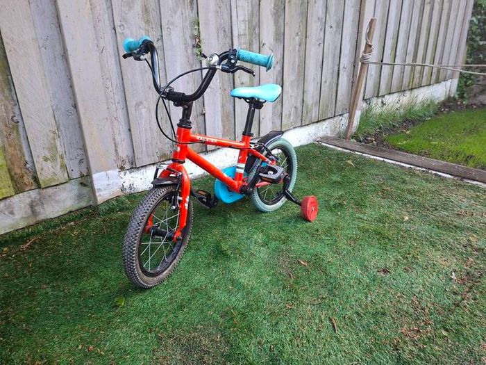Toddler's Bike