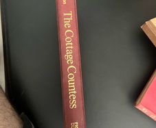 The cottage countess  by SJ Watson