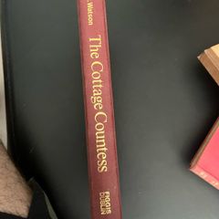 The cottage countess  by SJ Watson