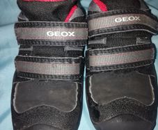 Boys shoes school