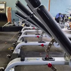 Fully Commercial Gym Benchs Top Brands Nautilus And True Fitness