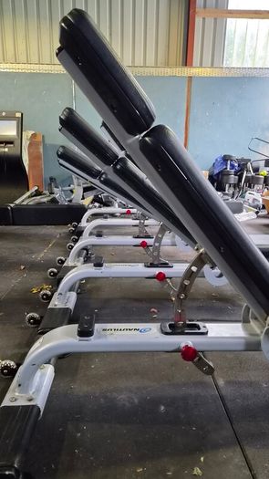 Fully Commercial Gym Benchs Top Brands Nautilus And True Fitness
