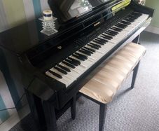 Digjtal Piano