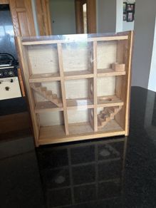 hamster maze