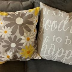 Decorative throw pillows
