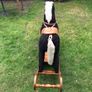 Rocking Horse Image 2