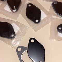 Egr Blanking Plates 1.9/2.0 Tdi