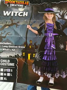 In Great Condition and Beautiful Halloween Witch Costume Size S