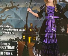 In Great Condition and Beautiful Halloween Witch Costume Size S