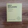 max benjamin candle Image 2