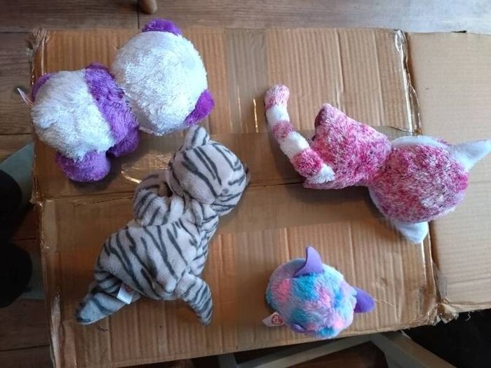 TY teddies collection