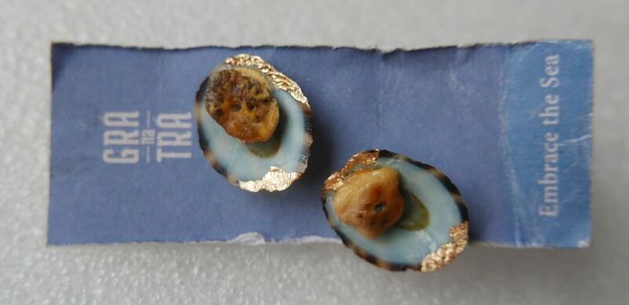 Handmade Seashell Stud Earrings