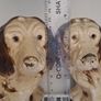 1930s Vintage Plaster Spaniel Dog Ornaments Image 5
