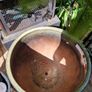 Pot Image 2