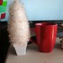 miniature white Christmas tree Image 4