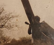 Andy Irvine - Way Out Yonder.