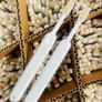 200 Sets Kids Bamboo Tooth Brush Job Lot Clearance Image 2