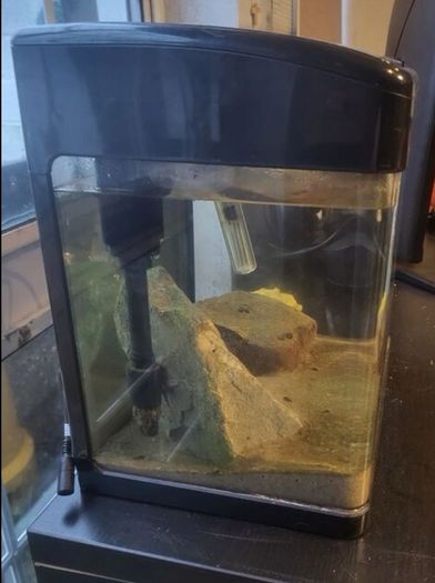 Fish tank 20L