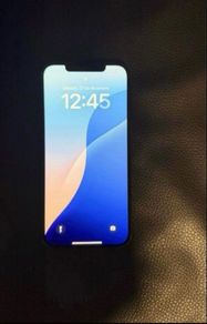 Apple iPhone 12 Pro Max