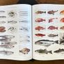 Larousse Gastronomique Encyclopedia Image 7