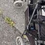 Buggy Image 3