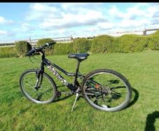 Apollo kinx girls bike 24 inch