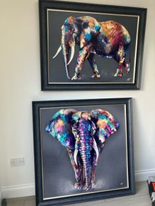 Framed Canvas x 2