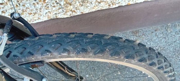 Boys Trek Mtb