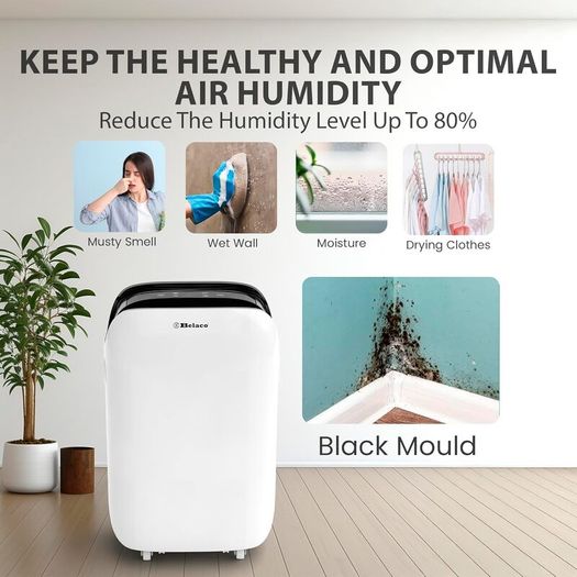 20L Dehumidifier for Home & Basement, Energy Efficient Moisture Removal, Digital Humidity Control, Laundry Drying Mode, Quiet Operation, Continuous Drain