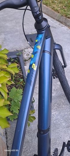 Carrara Electric Bike.