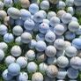 golf balls X205 Image 4