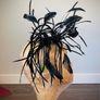 Black Facinator Image 4