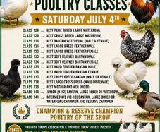 Poultry @ Adamstown Show