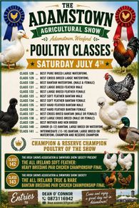 Poultry @ Adamstown Show