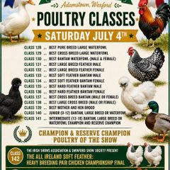 Poultry @ Adamstown Show