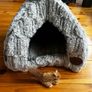 cat Image 4