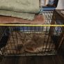small crate Image 2