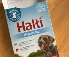 Halti headcollar