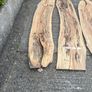 Irish Beech Planks - Spalted x 5 Image 4