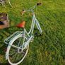 Bike Vintage Lite (Sage) 42cm Image 5