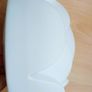 Peill and Putzler  1970's Germany  "Water Lilly" or "Seerose" shaped white opaline glass wall light Image 2