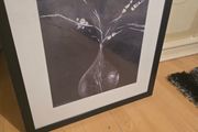picture frame