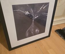 picture frame