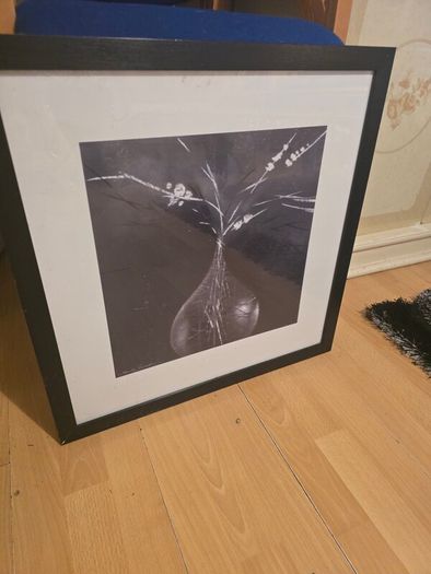 picture frame