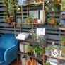 Avoca Gold Metal and Glass Display Shelf Image 9