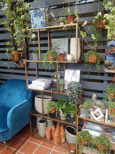 Avoca Gold Metal and Glass Display Shelf